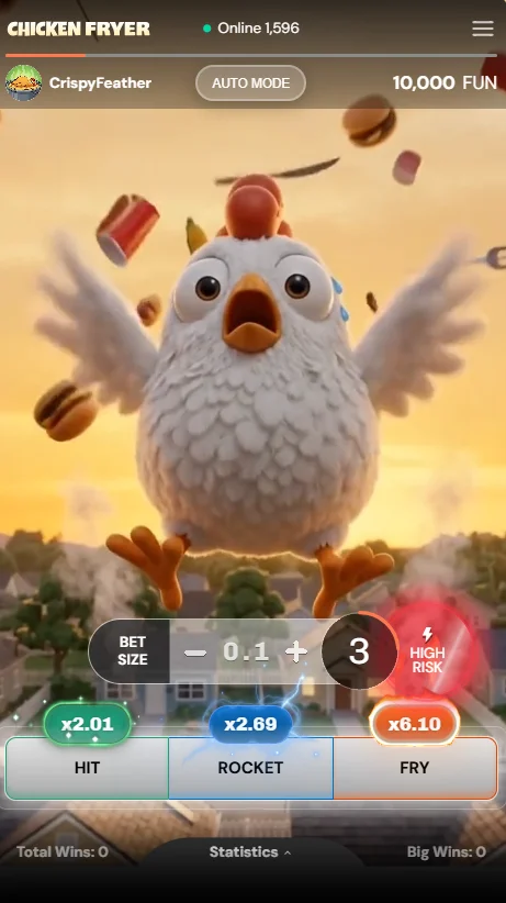 Chicken Fryer Review